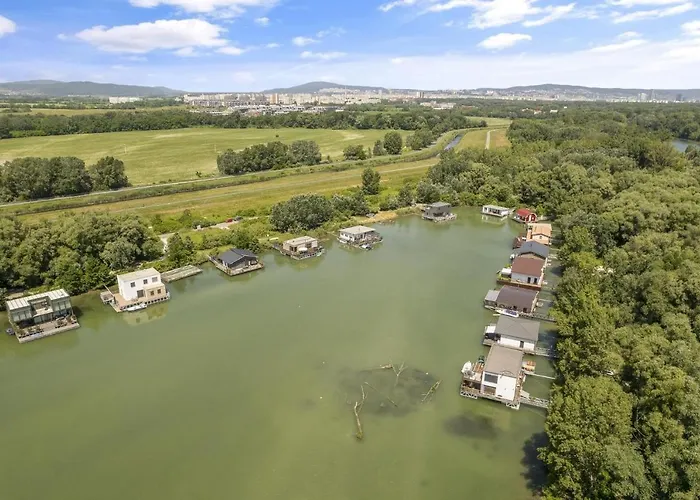 The Root Your Charming Floating